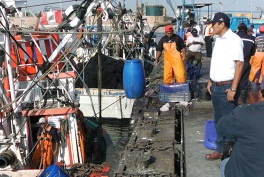 director-produce-inspecciona